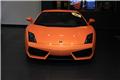gallardo